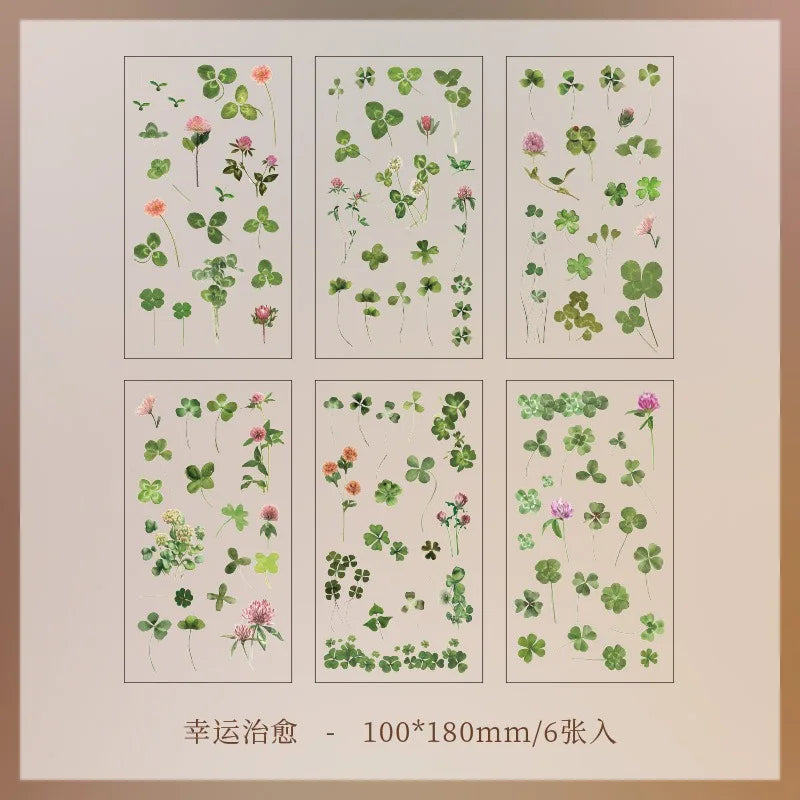 Set de 6 Planches d'Herbier Transparent - Collection Botanique