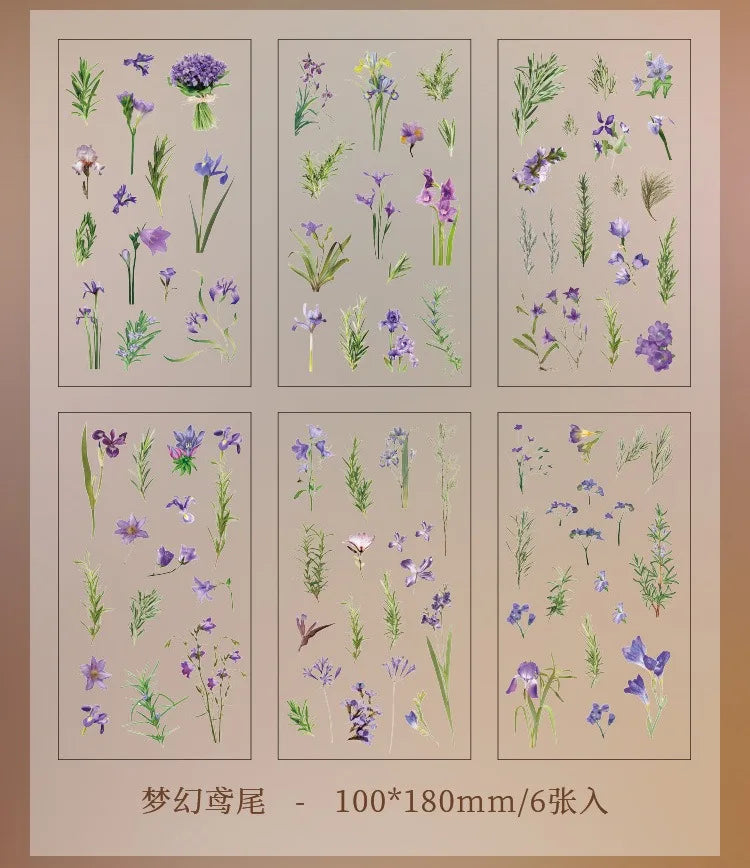 Set de 6 Planches d'Herbier Transparent - Collection Botanique