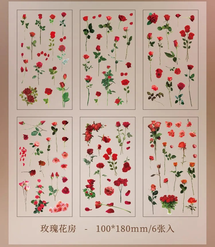 Set de 6 Planches d'Herbier Transparent - Collection Botanique