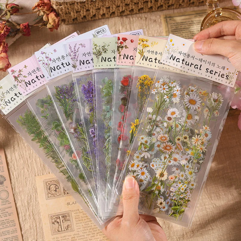 Stickers Botaniques Transparents lot de 6 planches (PET)