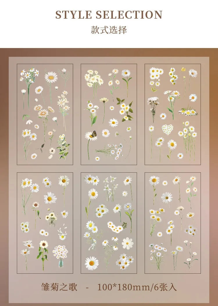 Set de 6 Planches d'Herbier Transparent - Collection Botanique