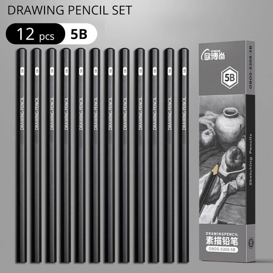Lot de 12 Crayons Graphite – Les Professionnels de l'Ombrage (4B à 8B)