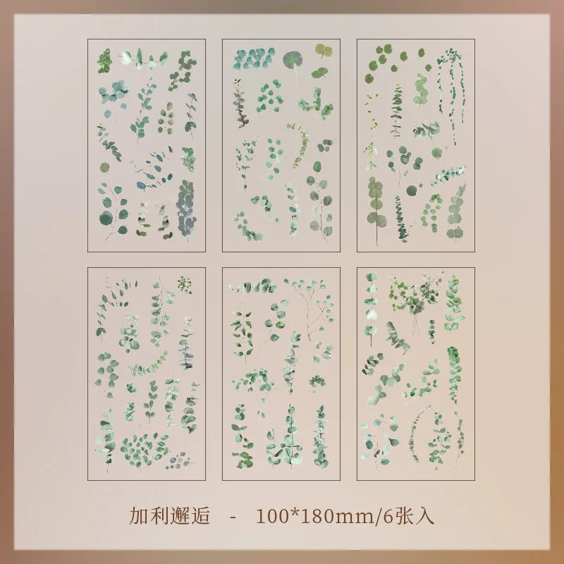 Stickers Botaniques Transparents lot de 6 planches (PET)