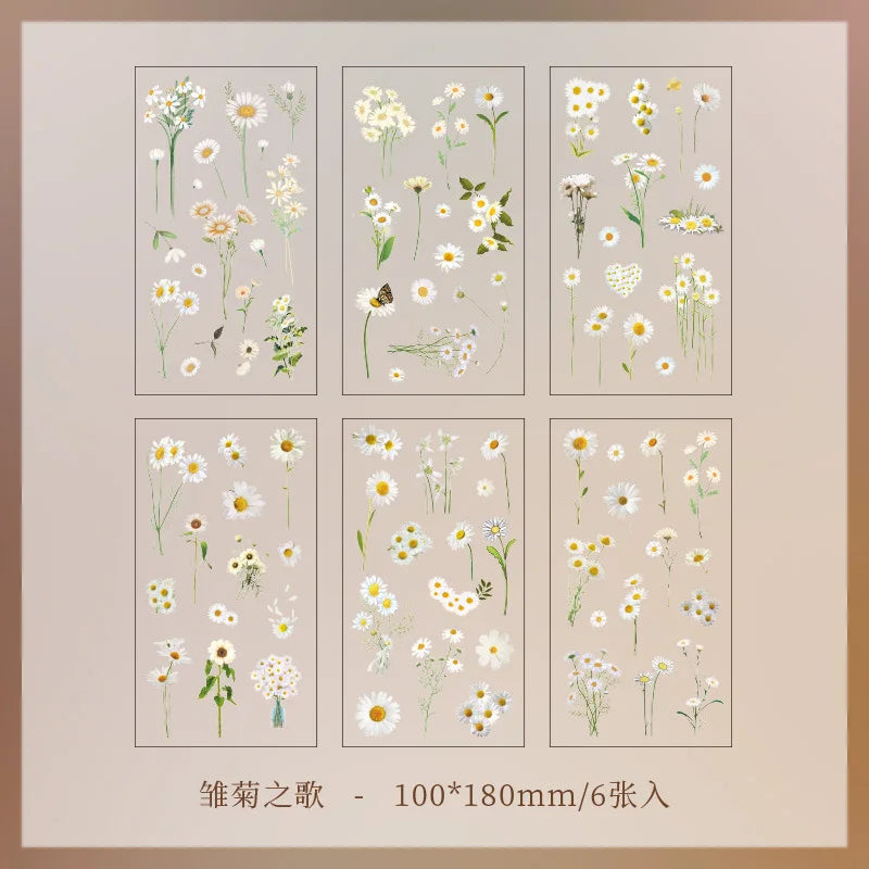 Stickers Botaniques Transparents lot de 6 planches (PET)