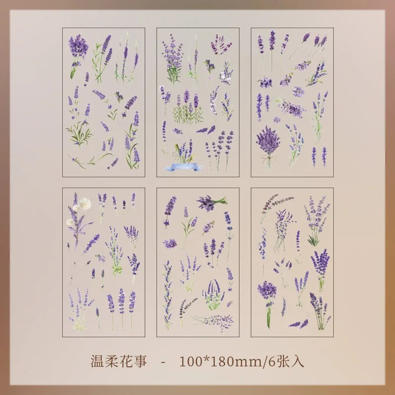 Set de 6 Planches d'Herbier Transparent - Collection Botanique