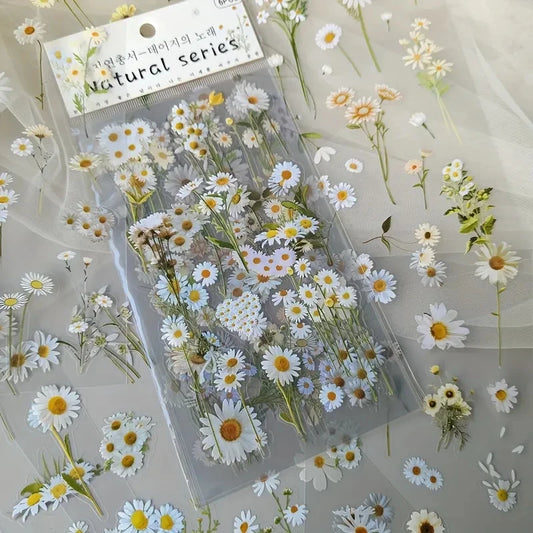 Set de 6 Planches d'Herbier Transparent - Collection Botanique