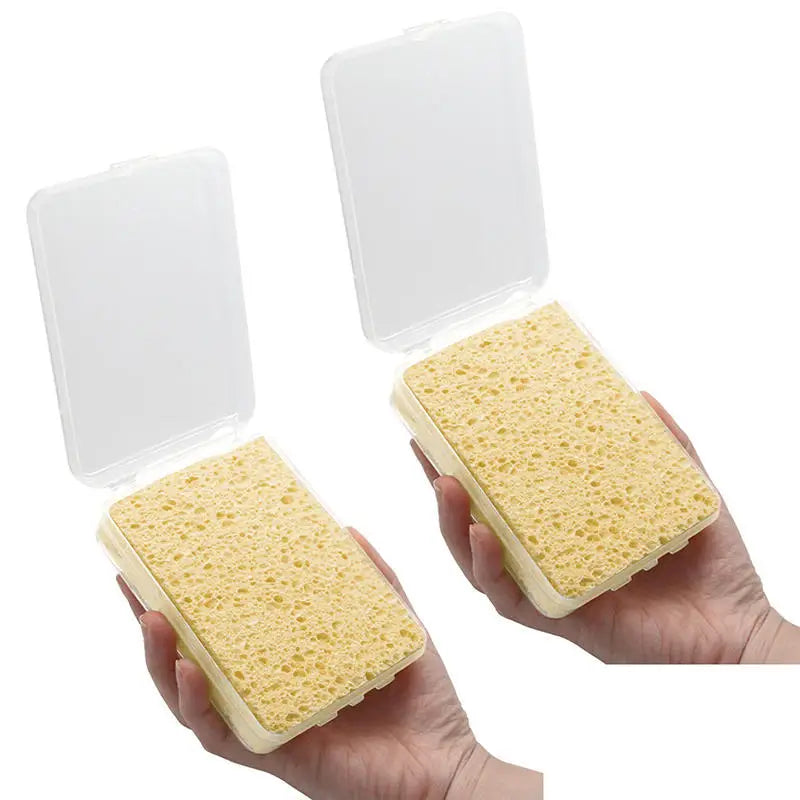 Eponges absorbantes pour Aquarelle avec boîtes (Lot de 2)