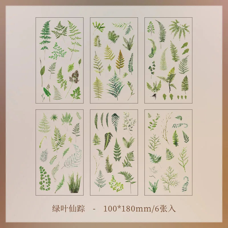Stickers Botaniques Transparents lot de 6 planches (PET)