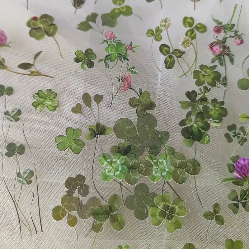 Set de 6 Planches d'Herbier Transparent - Collection Botanique
