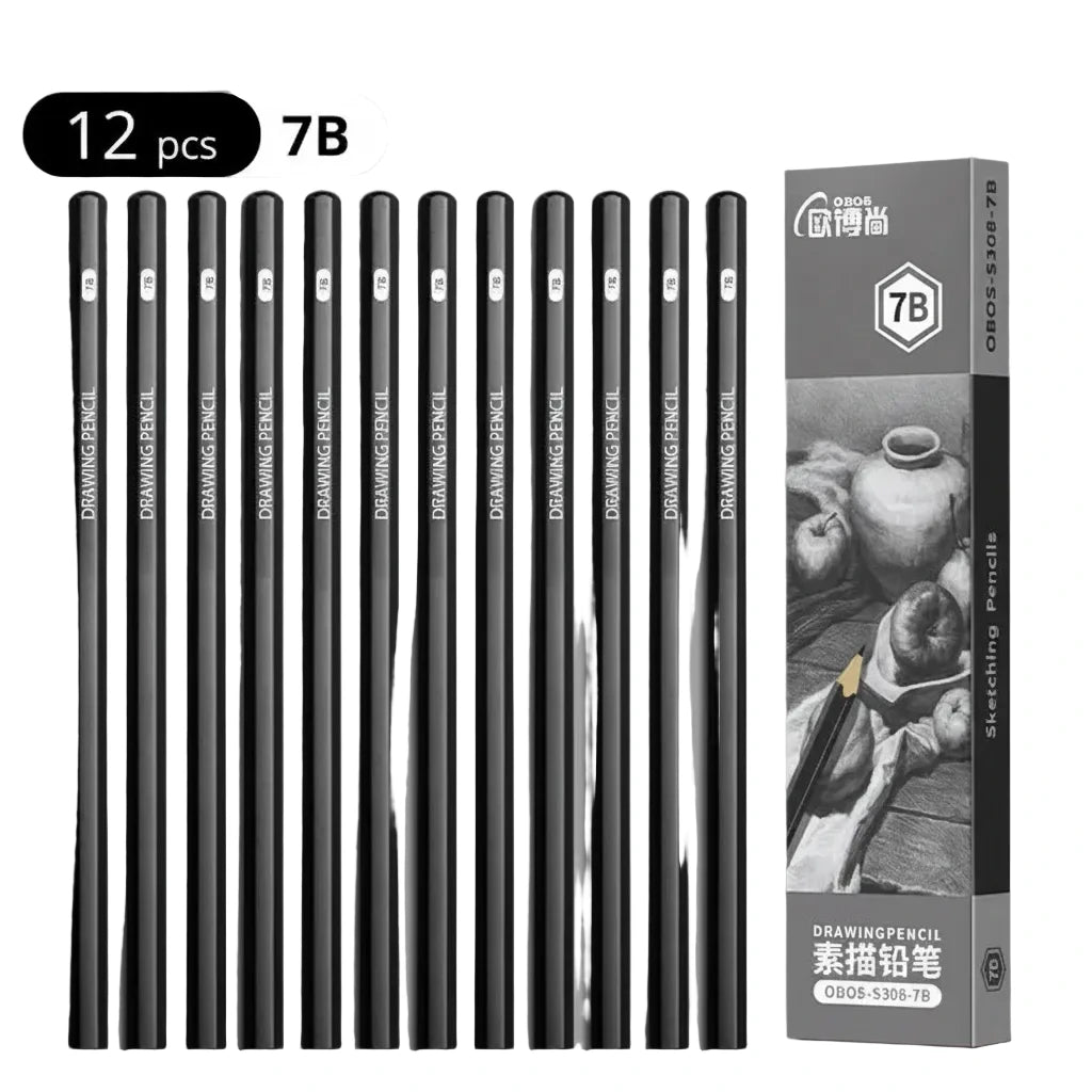 Lot de 12 Crayons Graphite – Les Professionnels de l'Ombrage (4B à 8B)