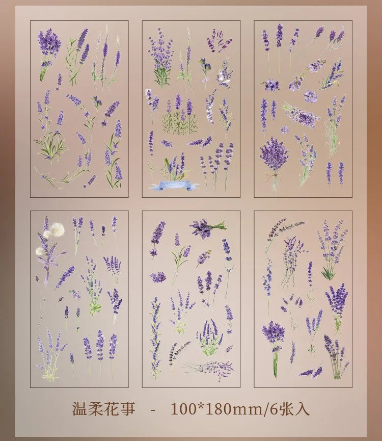 Set de 6 Planches d'Herbier Transparent - Collection Botanique