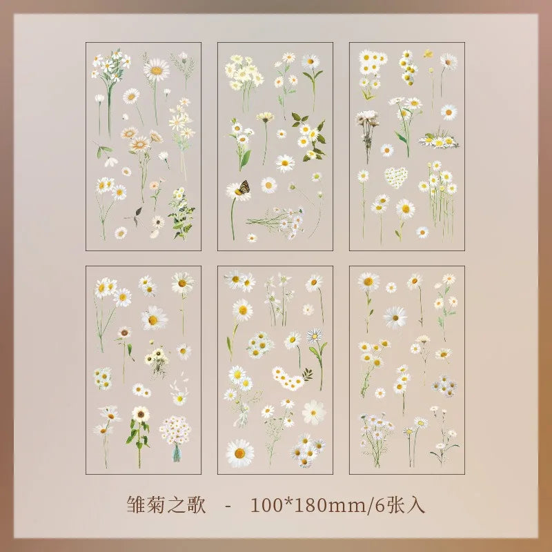 Set de 6 Planches d'Herbier Transparent - Collection Botanique