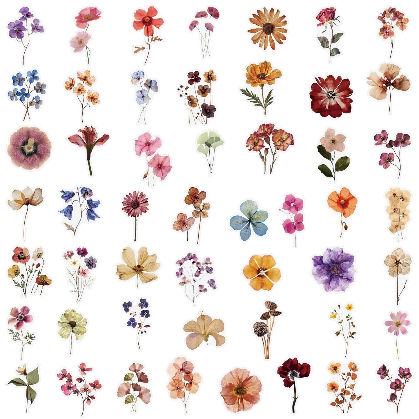 Stickers Transparents "Fleurs Séchées"