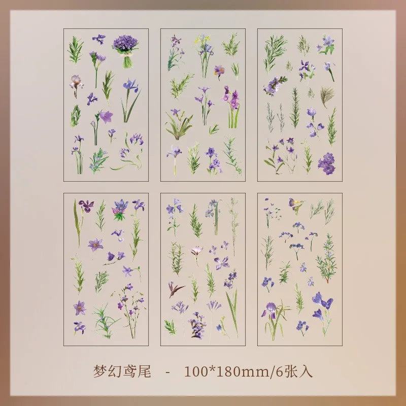 Set de 6 Planches d'Herbier Transparent - Collection Botanique