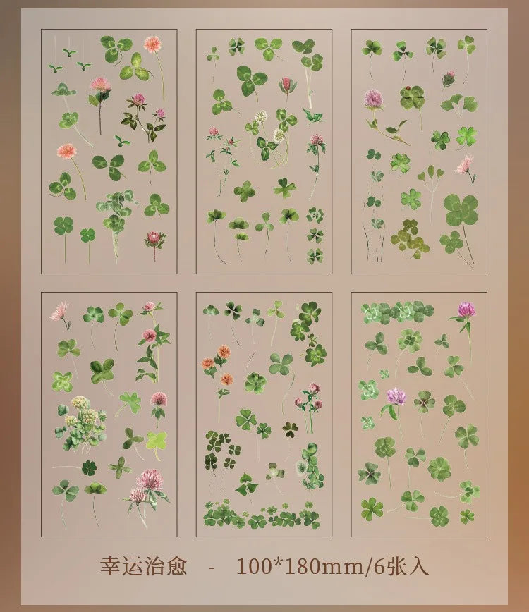 Set de 6 Planches d'Herbier Transparent - Collection Botanique