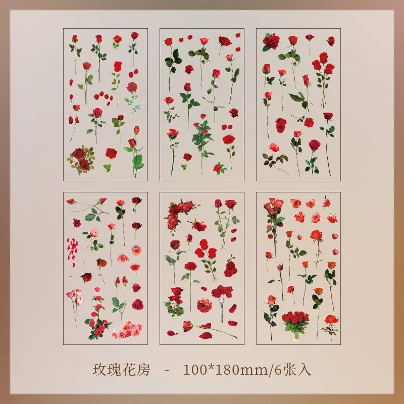 Set de 6 Planches d'Herbier Transparent - Collection Botanique